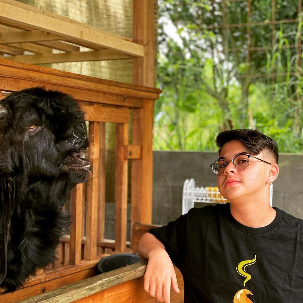 Ingat Baim Cilik? Dulu Artis Termahal Ngalahin Raffi Ahmad, Nasibnya Kini Bak Langit & Bumi, Jadi Peternak Kambing