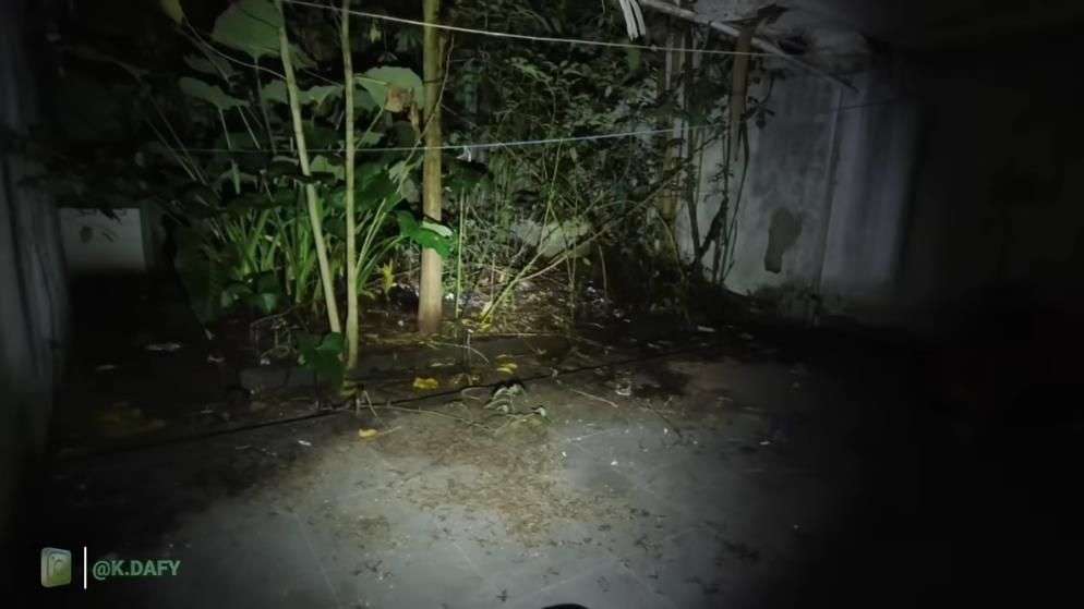 10 Potret Rumah Mewah Pak Harto Terbengkalai Usai Diselingkuhi Istri, Alat Tenun Kuno Hingga Mobil Masih Lengkap