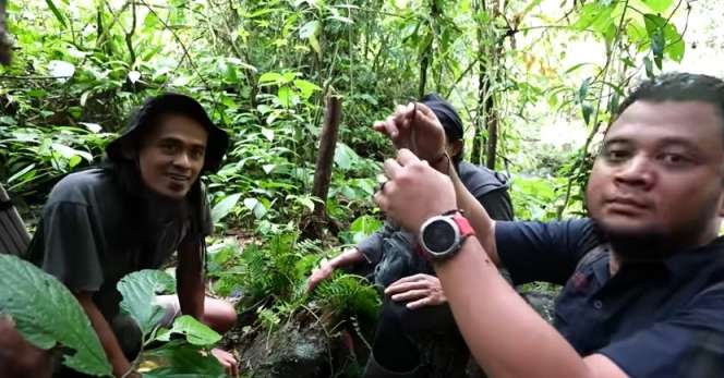 Penampakan Tak Biasa Ular Naga Endemik Jawa, Saat Dilihat Seolah Mati, Ternyata Masih Hidup!
