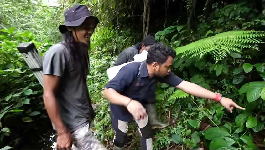 Penampakan Tak Biasa Ular Naga Endemik Jawa, Saat Dilihat Seolah Mati, Ternyata Masih Hidup!