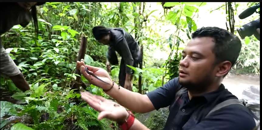 Penampakan Tak Biasa Ular Naga Endemik Jawa, Saat Dilihat Seolah Mati, Ternyata Masih Hidup!