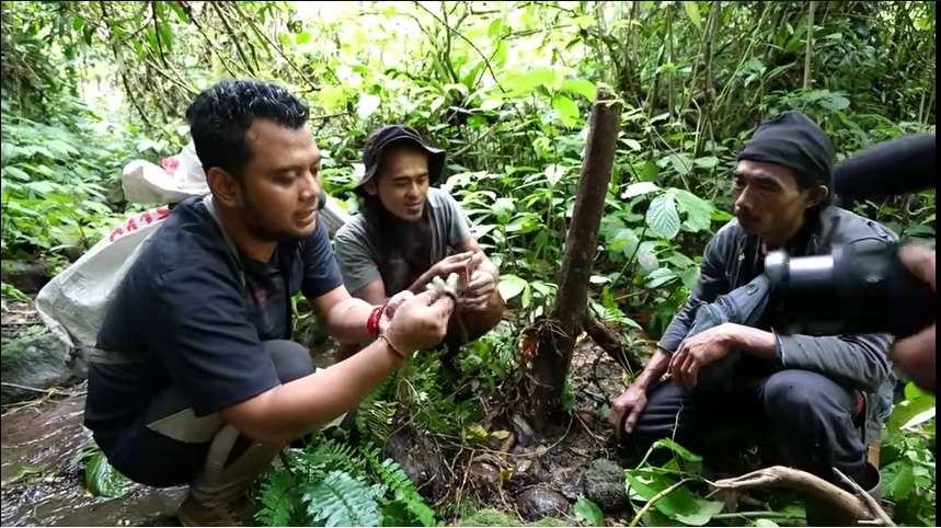 Penampakan Tak Biasa Ular Naga Endemik Jawa, Saat Dilihat Seolah Mati, Ternyata Masih Hidup!