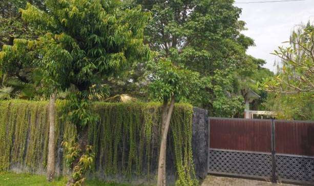 Penampakan Rumah Mewah Ayah Mario Dandy di Yogyakarta, Paling Besar Diantara Rumah Sekitarnya