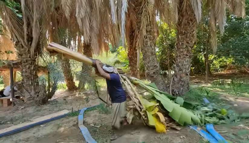 Potret Pemandangan Tak Biasa di Pinggiran Kota Arab Saudi, Banyak Tanaman Semakin Menghijau, Pertanda Akhir Zaman?