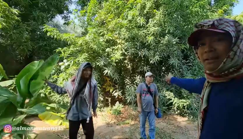 Potret Pemandangan Tak Biasa di Pinggiran Kota Arab Saudi, Banyak Tanaman Semakin Menghijau, Pertanda Akhir Zaman?