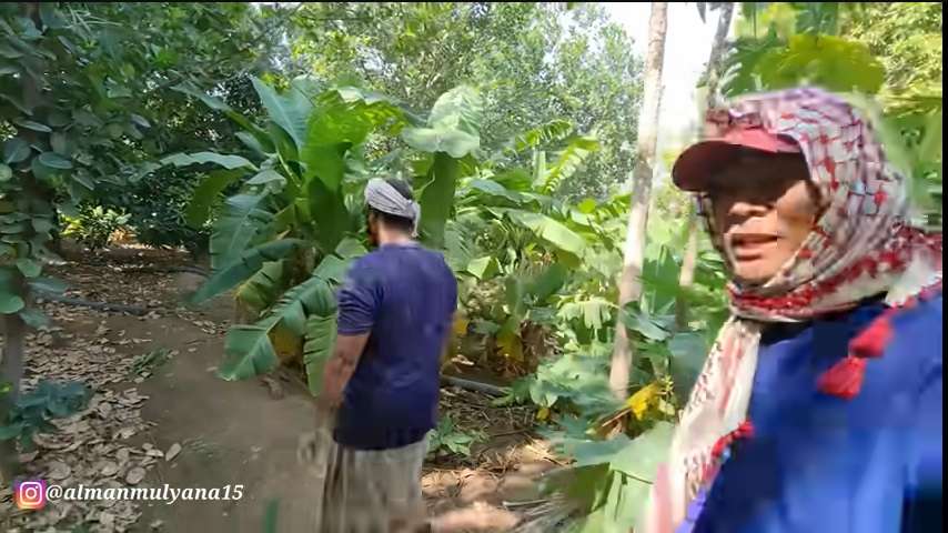 Potret Pemandangan Tak Biasa di Pinggiran Kota Arab Saudi, Banyak Tanaman Semakin Menghijau, Pertanda Akhir Zaman?