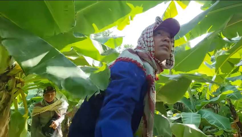 Potret Pemandangan Tak Biasa di Pinggiran Kota Arab Saudi, Banyak Tanaman Semakin Menghijau, Pertanda Akhir Zaman?