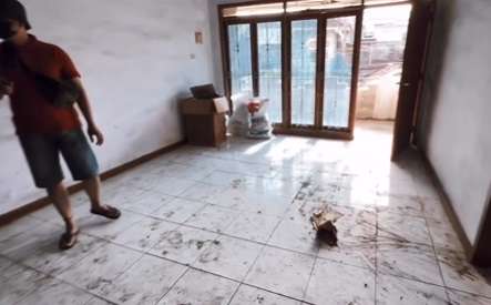 Potret Rumah Mewah Terbengkalai Ibu Mira ODGJ yang Viral, Mantan Model dan Tenar di Kalangan Artis