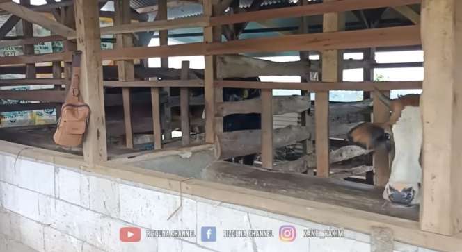 Potret Rumah Mewah Milik Pengusaha Cantik yang Hidup di Desa, Hasil Sekali Panen Bisa Beli Satu Mobil!