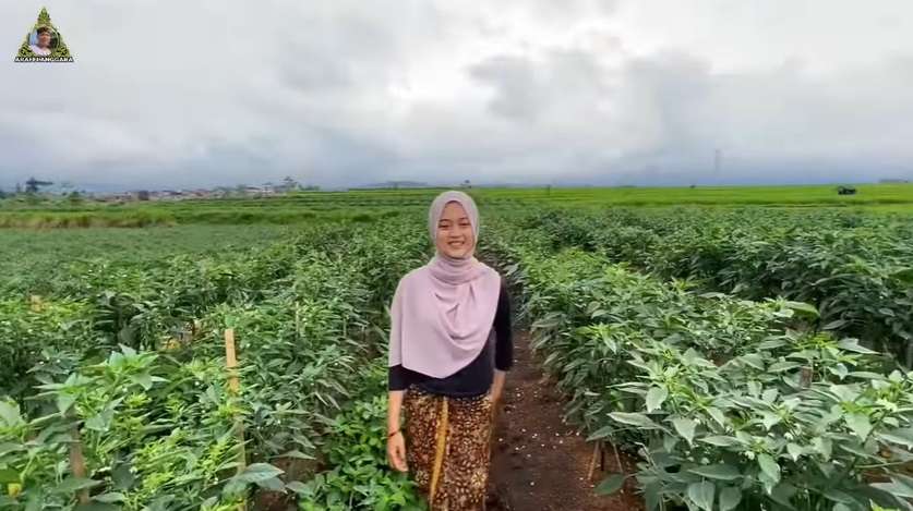 Potret Gadis Cantik yang Hidup di Desa, Rela Jadi Petani Cabai Demi Hidupi Adik, Kisahnya Bikin Haru!