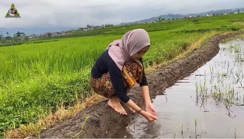 Potret Gadis Cantik yang Hidup di Desa, Rela Jadi Petani Cabai Demi Hidupi Adik, Kisahnya Bikin Haru!