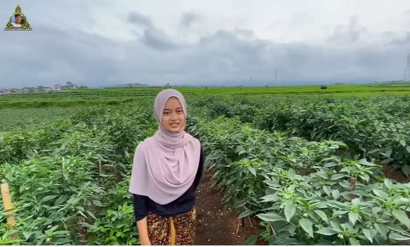 Potret Gadis Cantik yang Hidup di Desa, Rela Jadi Petani Cabai Demi Hidupi Adik, Kisahnya Bikin Haru!