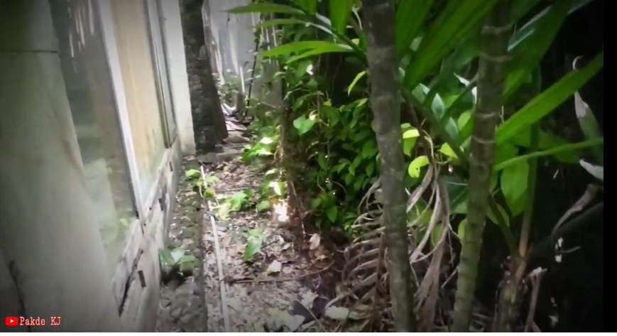 Potret Rumah Mewah Terbengkalai Milik Menteri Era Soeharto, Ada Kisah Tragis Dibaliknya, Kini Penampakannya Bikin Merinding!