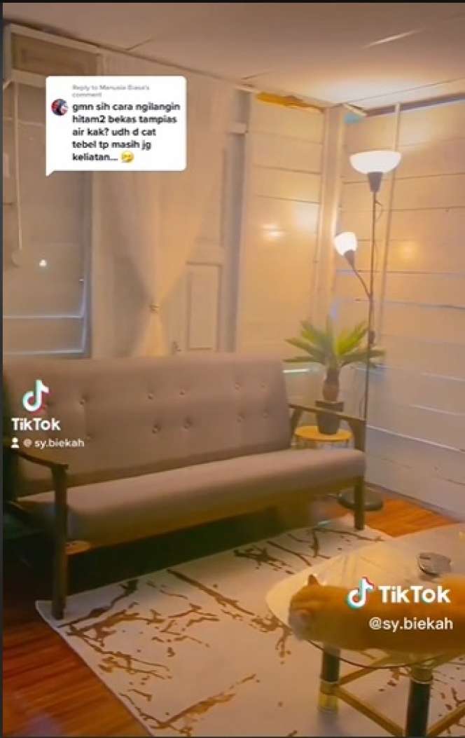Potret Rumah Anti Sombong, Dari Luar Bak Gubuk Kayu, Ternyata Dalamnya Bikin Melongo, Bak Hotel Berbintang!
