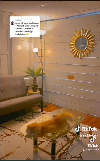 Potret Rumah Anti Sombong, Dari Luar Bak Gubuk Kayu, Ternyata Dalamnya Bikin Melongo, Bak Hotel Berbintang!