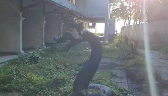 Potret Penampakan Villa Terbengkalai di Banten usai Diterjang Tsunami, Ada Sosok 'Naga' di Dalamnya