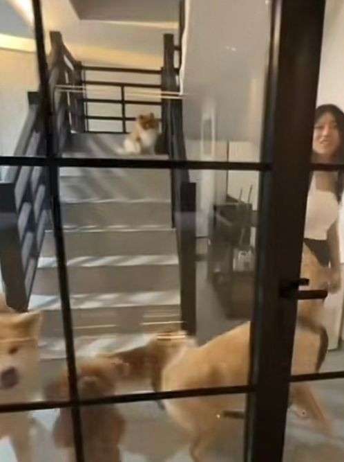 12 Potret Rumah Mewah Wendy Walters Usai Cerai dari Reza Arap, Vespa Justin Bieber Jadi Pajangan!