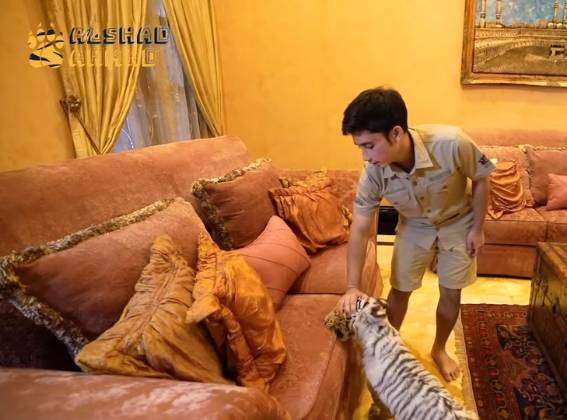 Potret Rumah Alshad Ahmad Dimasuki Harimau Putih, Sofa dan Gorden Robek Digigiti
