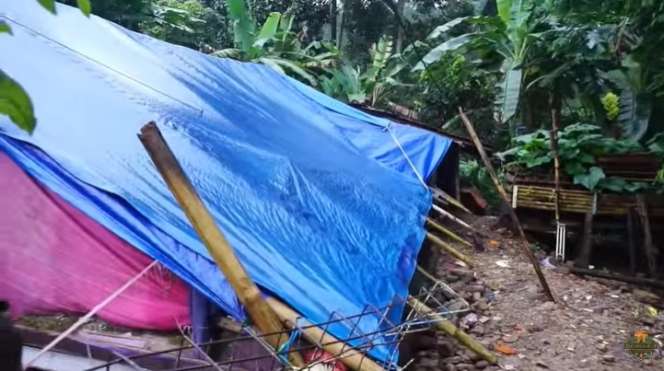 8 Potret Janda Cantik yang Viral usai Gempa Cianjur, Bak Bidadari di Tenda Pengungsian, Rumahnya Memprihatinkan
