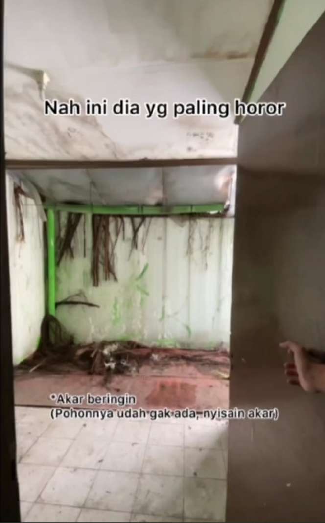 Potret Rumah Horor Usai Direnovasi, Hasilnya Beda Banget Bak Langit dan Bumi, Dulu Bikin Merinding Kini Auto Betah!