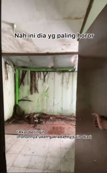 Potret Rumah Horor Usai Direnovasi, Hasilnya Beda Banget Bak Langit dan Bumi, Dulu Bikin Merinding Kini Auto Betah!