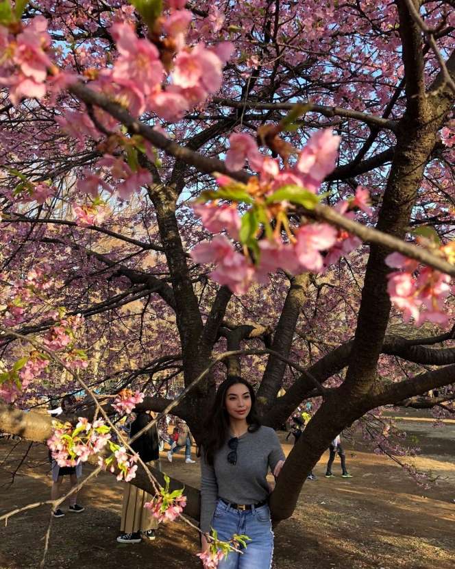 Dulu Dinikahi Anggota Kerajaan Hingga Alami KDRT, Kini Kabar Artis Cantik Ini Mengejutkan, Penampilannya Berubah Drastis!