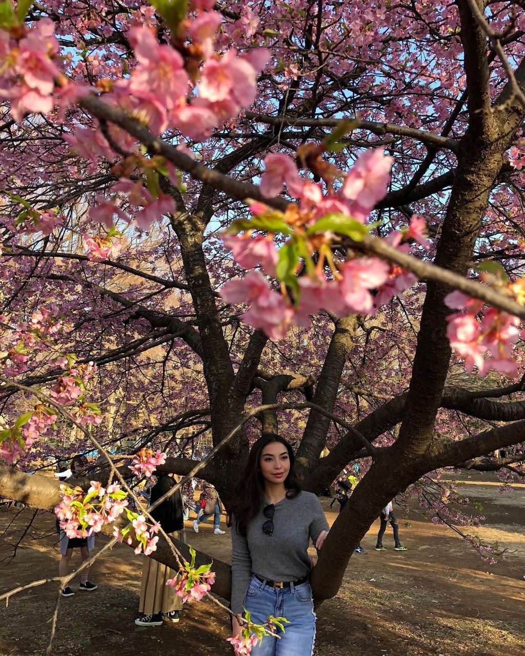 Dulu Dinikahi Anggota Kerajaan Hingga Alami KDRT, Kini Kabar Artis Cantik Ini Mengejutkan, Penampilannya Berubah Drastis!