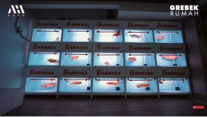 Saingan Sultan Andara! 15 Potret Rumah Mewah Putra Siregar Seluas 1 Hektar, Berjejer Arwana Miliaran Rupiah