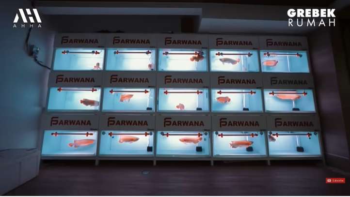 Saingan Sultan Andara! 15 Potret Rumah Mewah Putra Siregar Seluas 1 Hektar, Berjejer Arwana Miliaran Rupiah