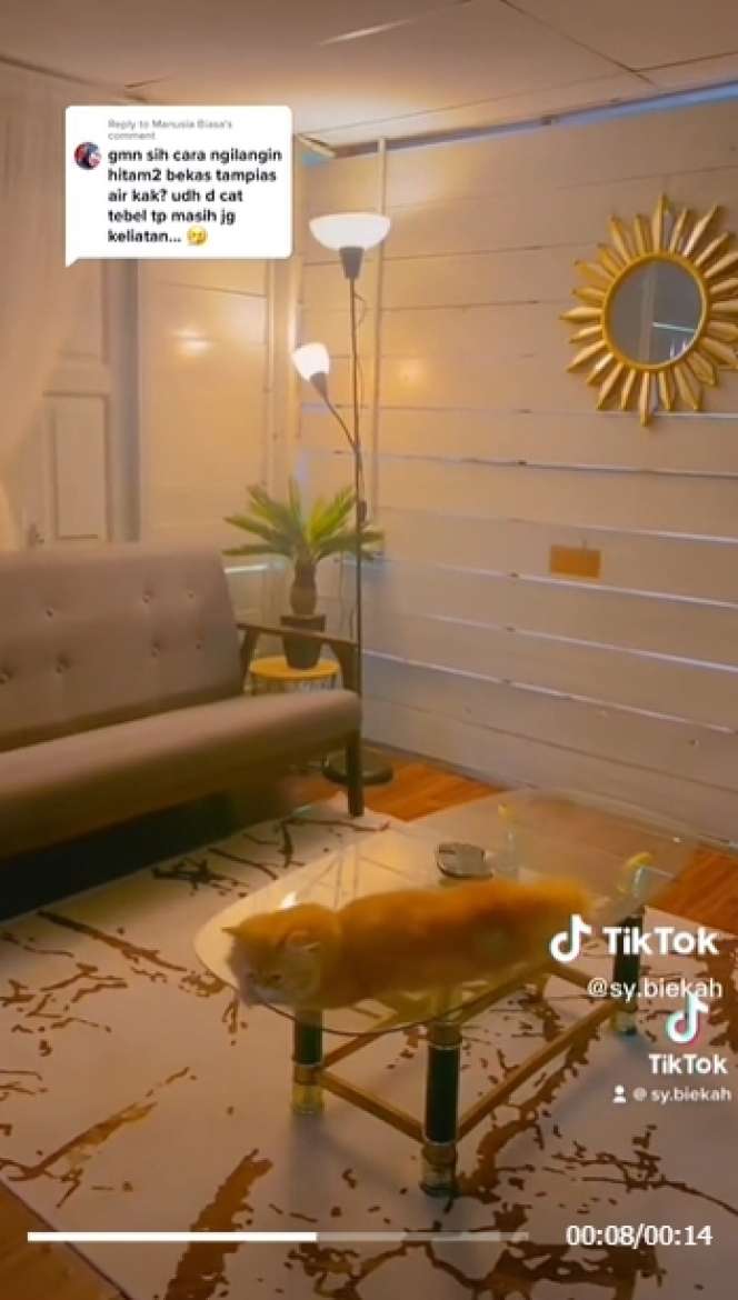 Transformasi Gubuk Kayu di Tengah Kebun Usai Direnovasi, Jadi Estetik, Serasa Vila Mewah di Bali