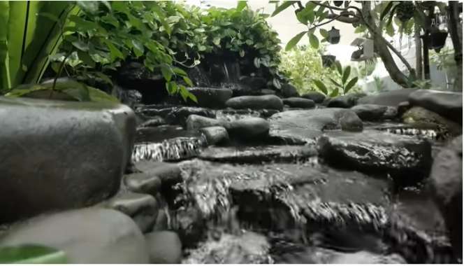 Potret Rumah Mewah Bernuansa Resort, Ada Sungai Mengalir di Bawahnya, Auto Betah!
