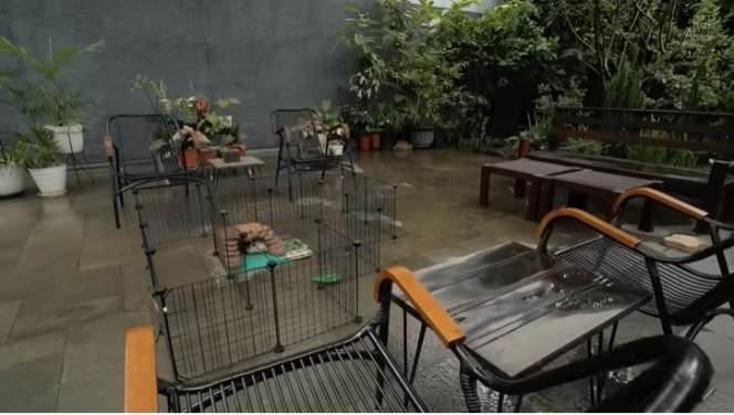 Potret Rumah Mewah Bernuansa Resort, Ada Sungai Mengalir di Bawahnya, Auto Betah!
