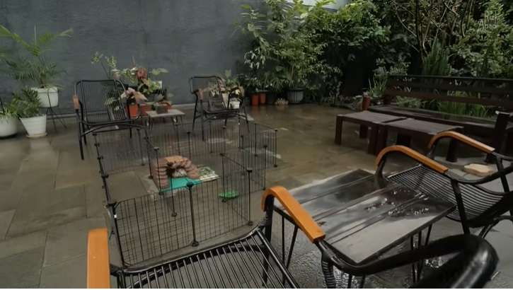 Potret Rumah Mewah Bernuansa Resort, Ada Sungai Mengalir di Bawahnya, Auto Betah!