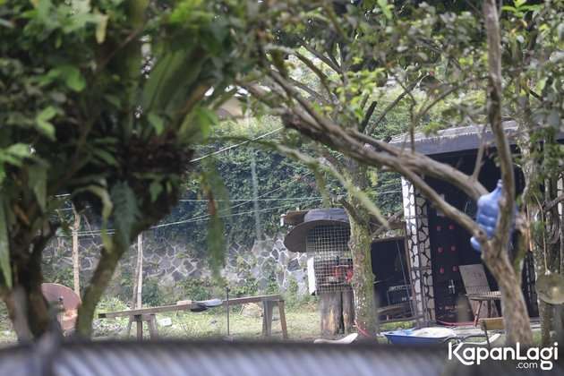 10 Adu Mewah Rumah Rieta Amalia VS Gideon Tengker, Bak Bumi dan Langit, Yang Satu Sederhana Banget!