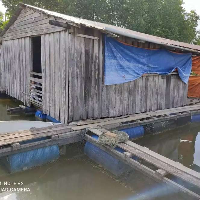 Dari Luar Tampak Gubuk Kayu Terapung, Dikira Tak Layak Huni, Ternyata Dalamnya Estetik Bak Toko IKEA, Ini Potretnya