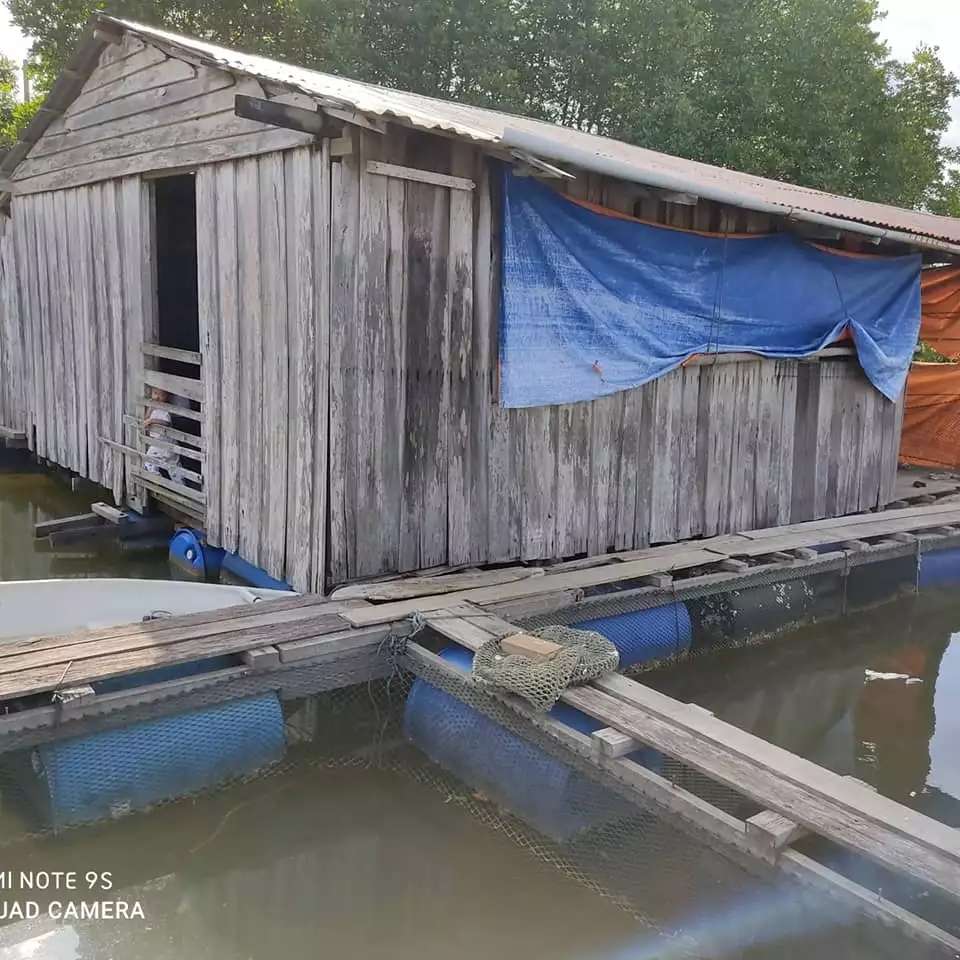 Dari Luar Tampak Gubuk Kayu Terapung, Dikira Tak Layak Huni, Ternyata Dalamnya Estetik Bak Toko IKEA, Ini Potretnya