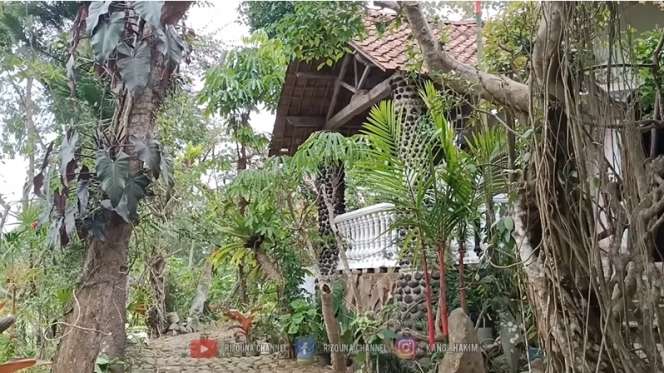 Potret Rumah Unik di Tengah Hutan, Desainnya Tak Biasa, Pemilik Simpan Banyak Barang Antik!