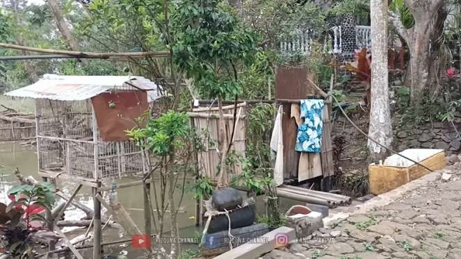 Potret Rumah Unik di Tengah Hutan, Desainnya Tak Biasa, Pemilik Simpan Banyak Barang Antik!