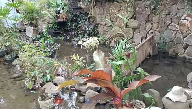 Potret Rumah Unik di Tengah Hutan, Desainnya Tak Biasa, Pemilik Simpan Banyak Barang Antik!