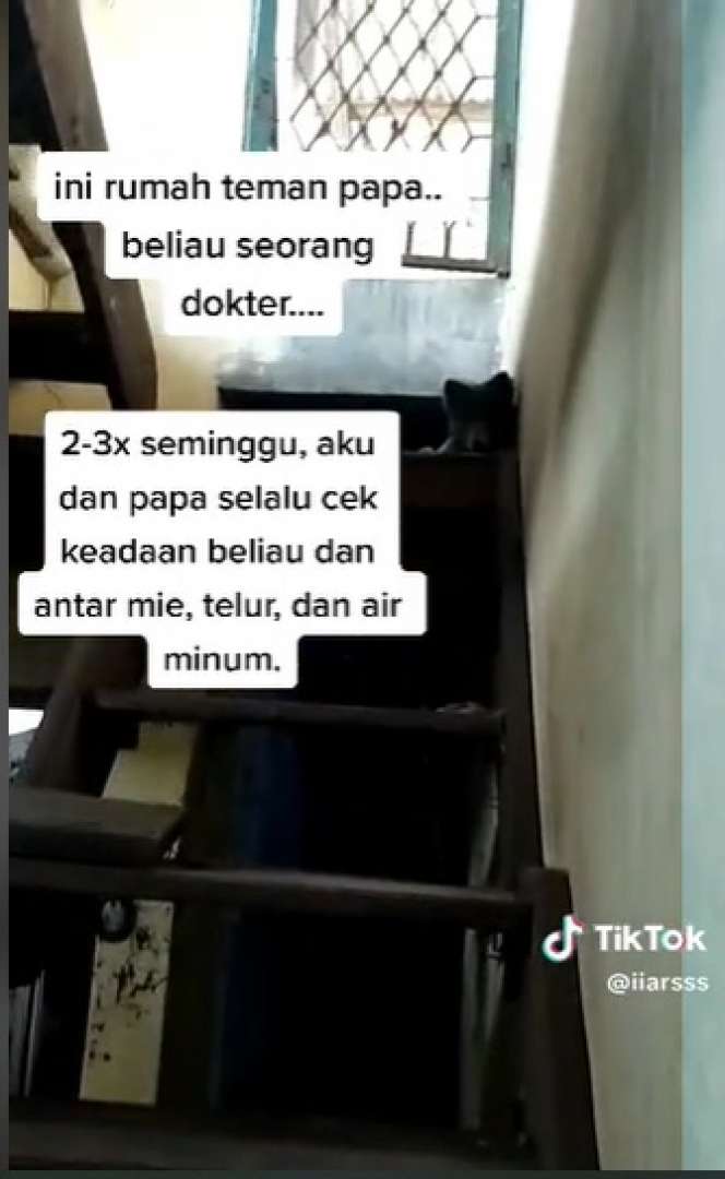Penampakan Rumah Viral Milik Dokter yang Hidup Sebatang Kara, Dulu Dipenuhi Kemegahan Kini Banyak Tumpukan Sampah!