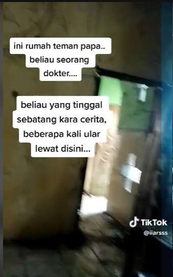 Penampakan Rumah Viral Milik Dokter yang Hidup Sebatang Kara, Dulu Dipenuhi Kemegahan Kini Banyak Tumpukan Sampah!