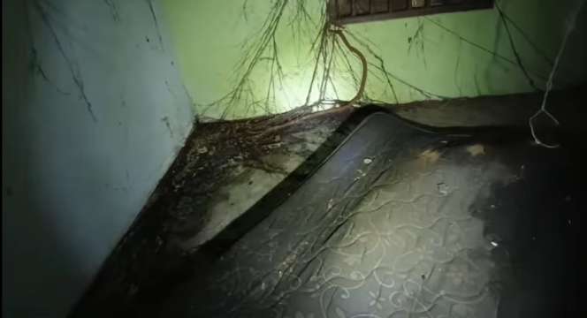 Potret Rumah Mewah Milik Aktor Lawas Mandra, Dulu Dijadikan Lokasi Syuting Film Pocong Mumun, Kini Penampakannya Bikin Merinding!