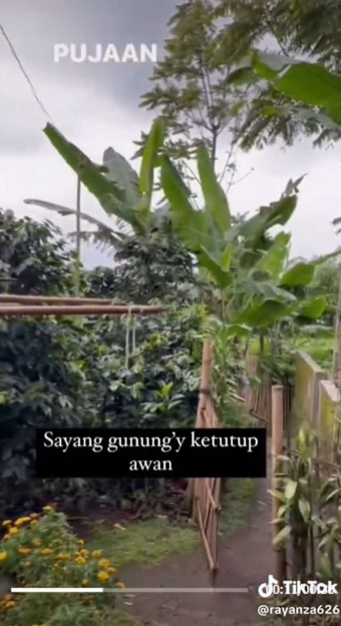 9 Potret Suasana Rumah Sus Rini Pengasuh Rayyanza di Kampung Bikin Terpukau, Disebut Surga Dunia!