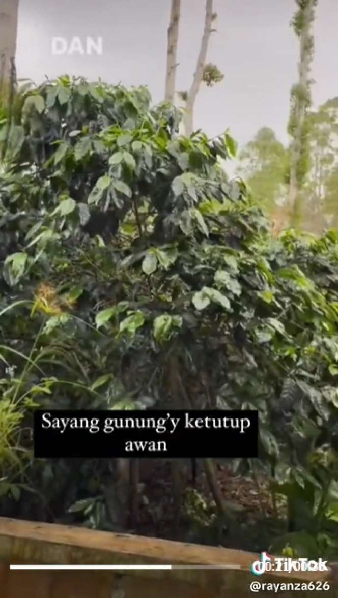 9 Potret Suasana Rumah Sus Rini Pengasuh Rayyanza di Kampung Bikin Terpukau, Disebut Surga Dunia!