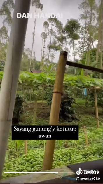 9 Potret Suasana Rumah Sus Rini Pengasuh Rayyanza di Kampung Bikin Terpukau, Disebut Surga Dunia!