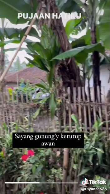 9 Potret Suasana Rumah Sus Rini Pengasuh Rayyanza di Kampung Bikin Terpukau, Disebut Surga Dunia!