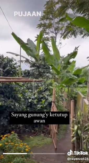 9 Potret Suasana Rumah Sus Rini Pengasuh Rayyanza di Kampung Bikin Terpukau, Disebut Surga Dunia!