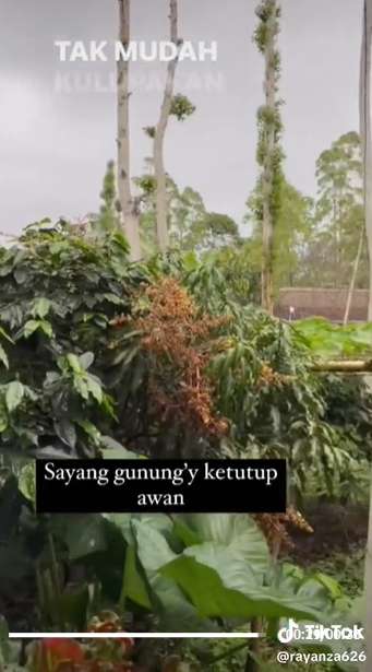 9 Potret Suasana Rumah Sus Rini Pengasuh Rayyanza di Kampung Bikin Terpukau, Disebut Surga Dunia!