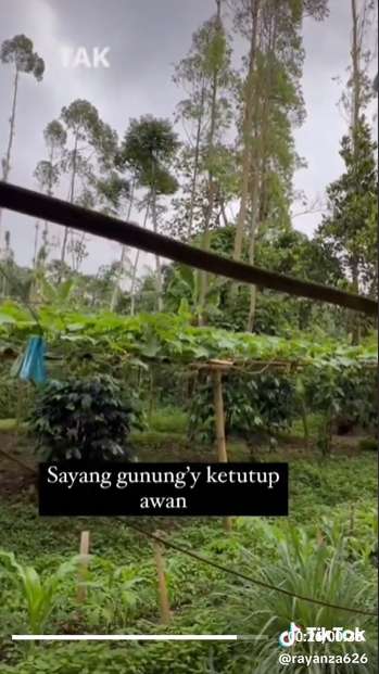 9 Potret Suasana Rumah Sus Rini Pengasuh Rayyanza di Kampung Bikin Terpukau, Disebut Surga Dunia!