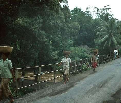 Potret Pulau Dewata Bali di Tahun di Era 70-an, Suasananya Adem Banget, Auto Nostalgia!